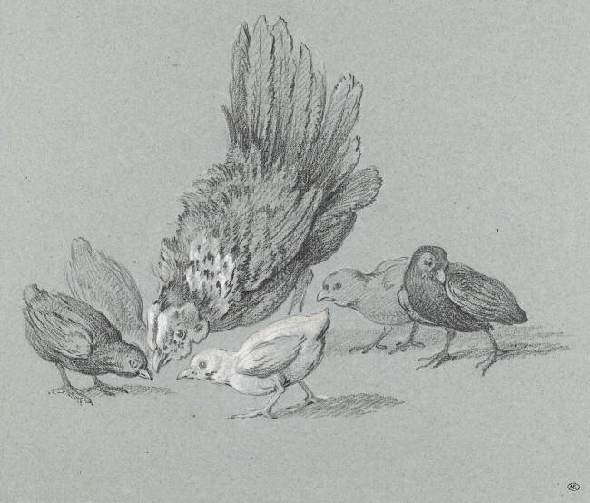 Poule picorant avec cinq poussins Jean-Baptiste Oudry