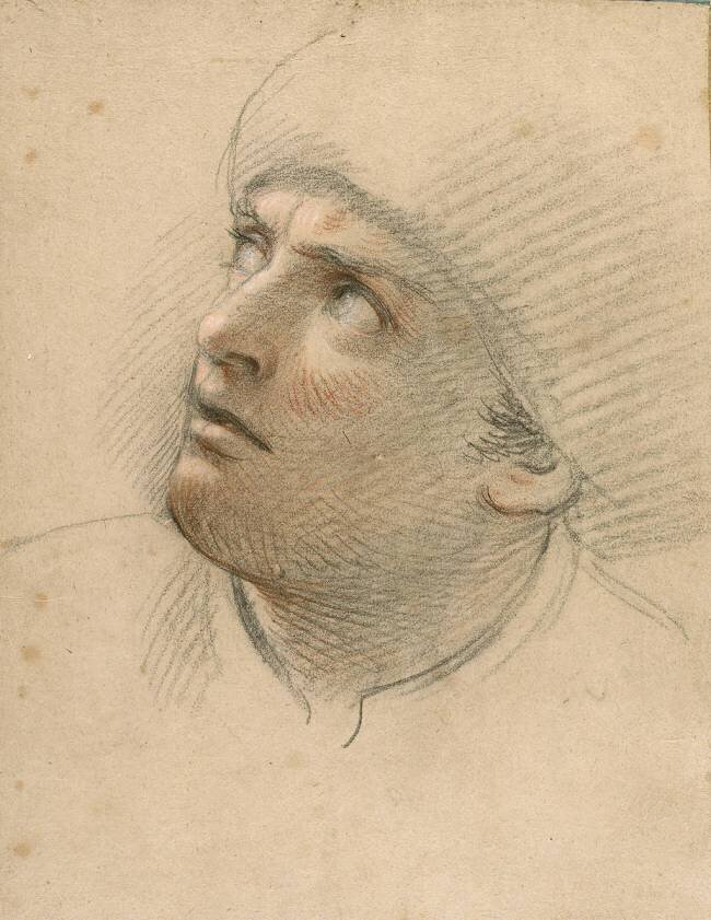 Tête d'homme, tournée vers la gauche Charles Le Brun