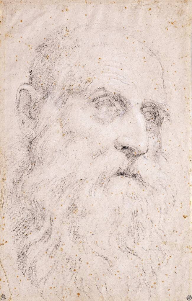The Head of Saint Jerome Domenichino
