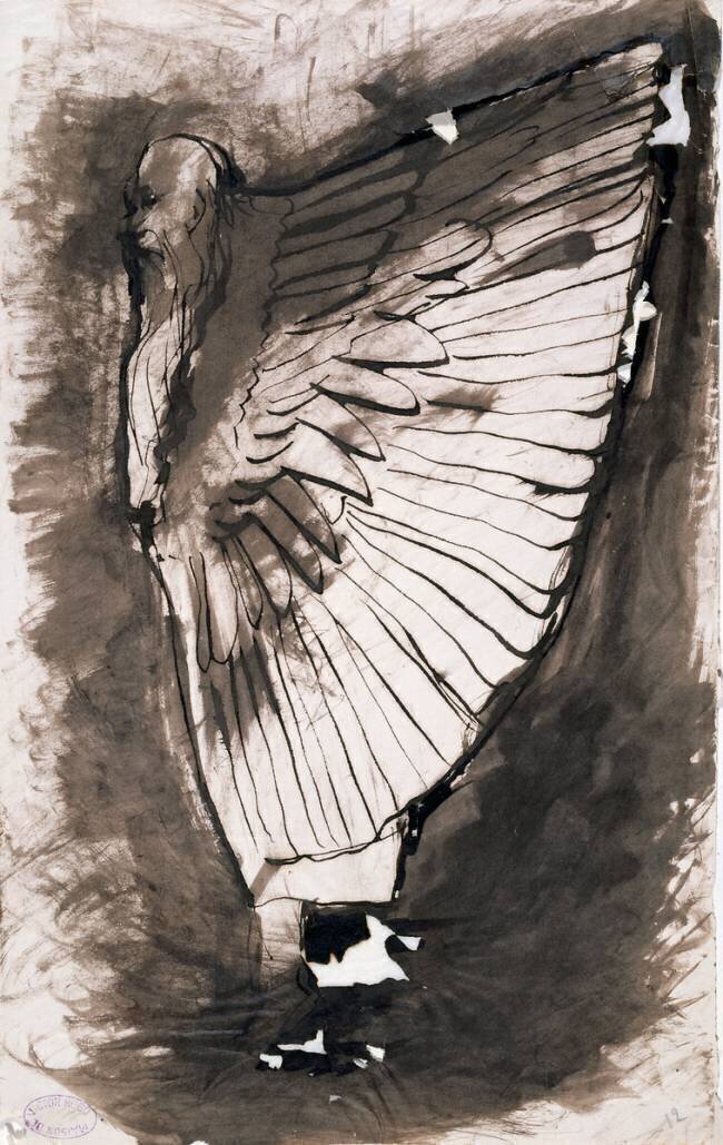 Vieil homme à l'habit d'oiseau Victor Hugo