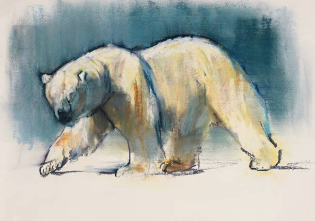 Arctic Light Mark Adlington