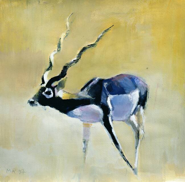 Black Buck Mark Adlington