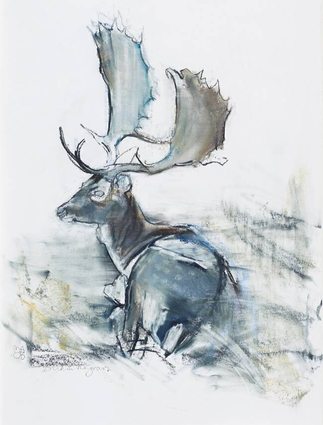 Buck in the Grass Mark Adlington