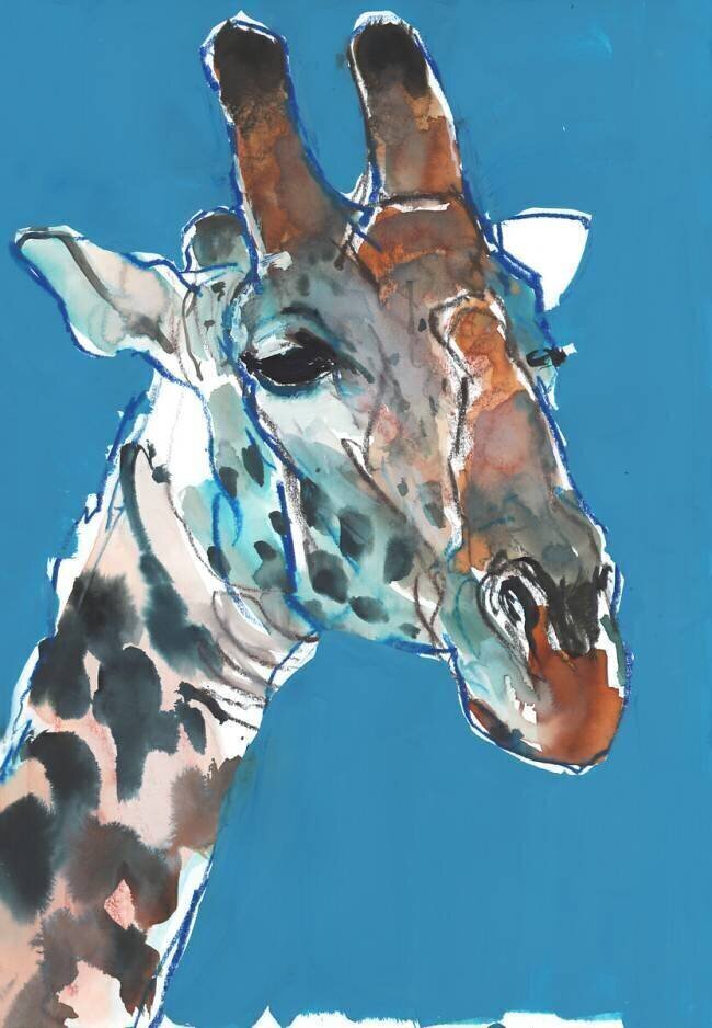 Bull Masai Giraffe Mark Adlington