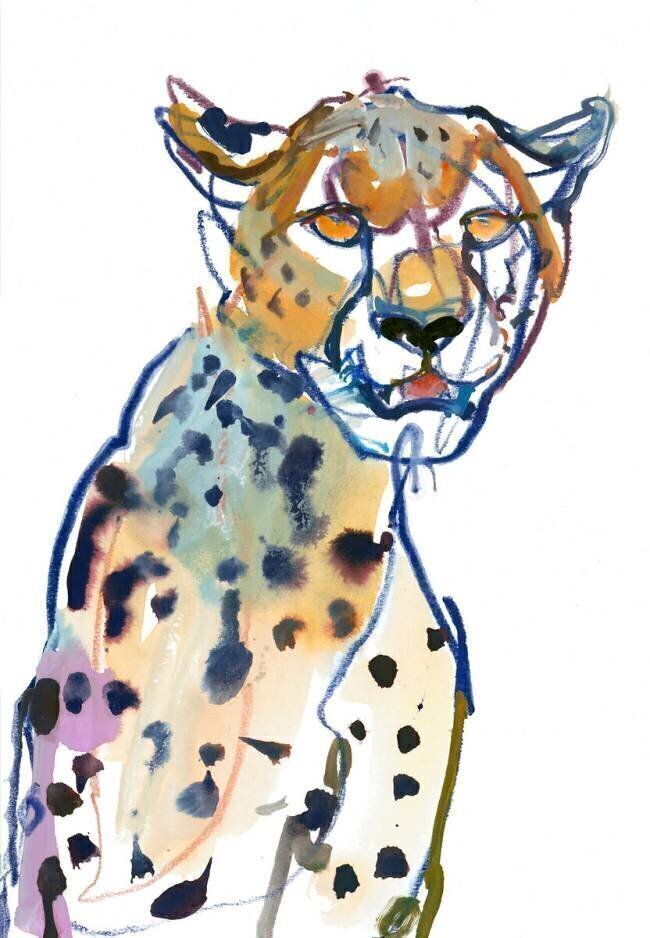 Chyulu Cheetah Mark Adlington