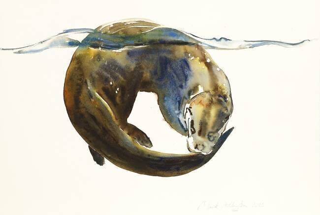 Circle of life Mark Adlington