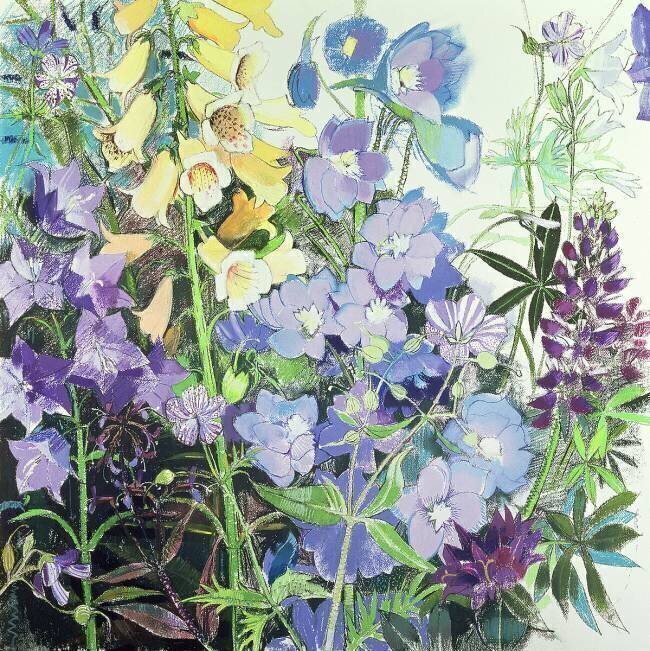 Delphiniums and Foxgloves Claire Spencer