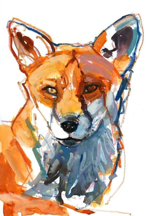 Dog fox Mark Adlington