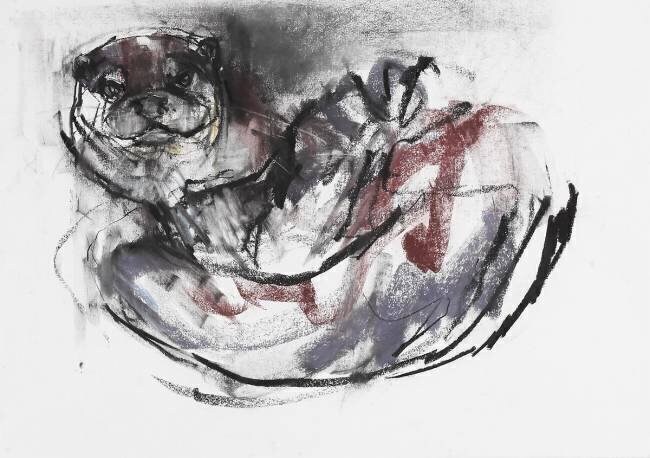 Dog Otter Mark Adlington