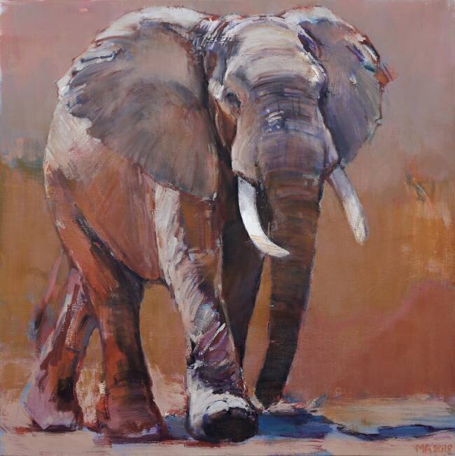 Dry Season Mark Adlington