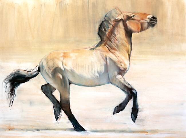Equus Mark Adlington