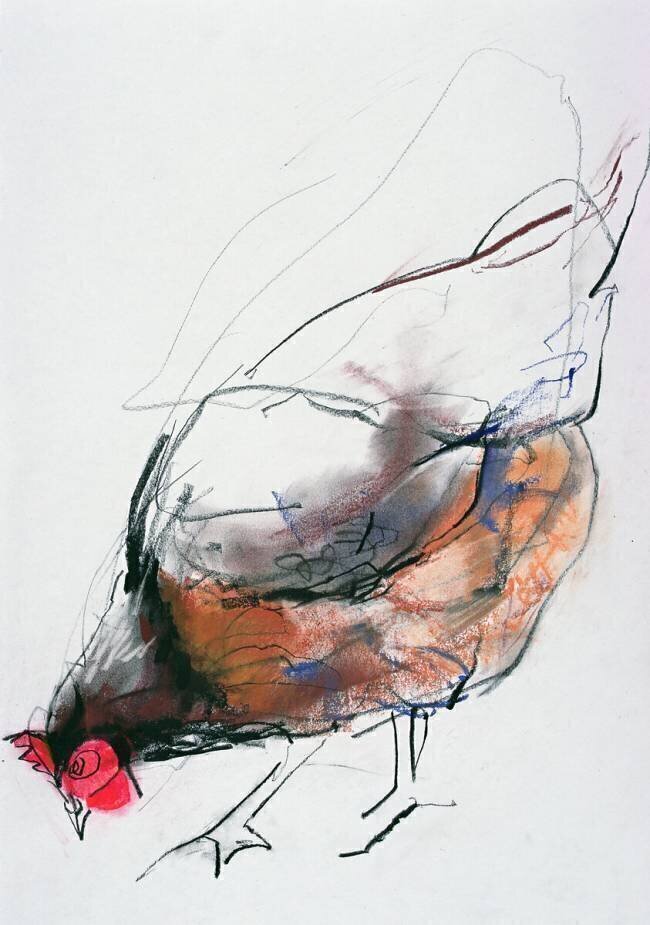 Feeding Hen Mark Adlington