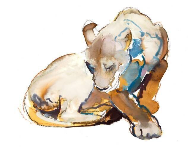 Feline Paint Mark Adlington