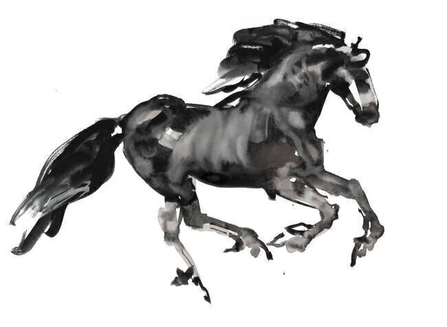 Gallop Mark Adlington