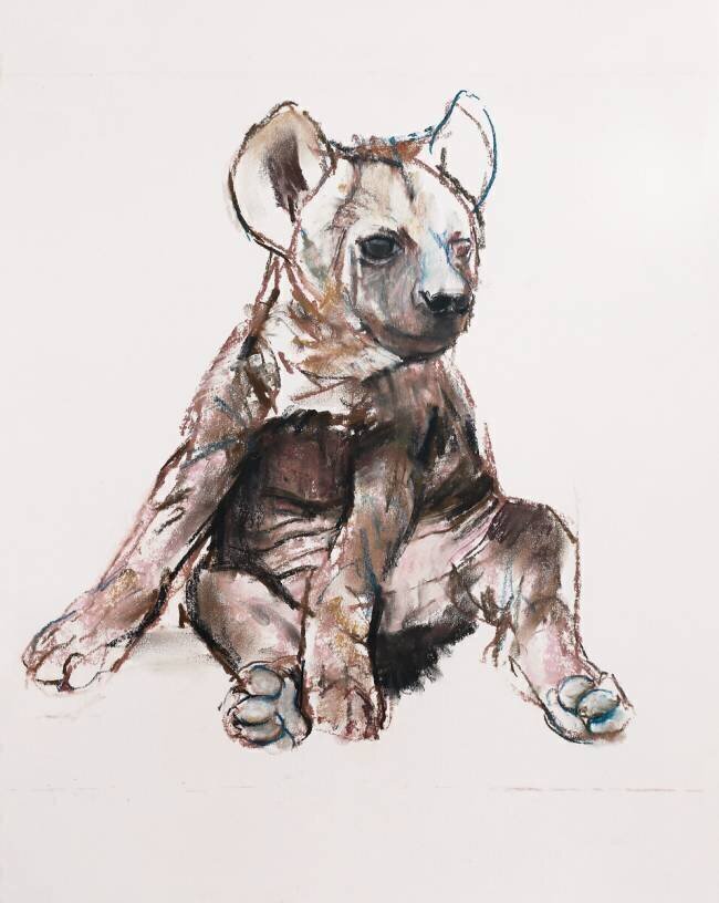 Hyaena Pup Mark Adlington