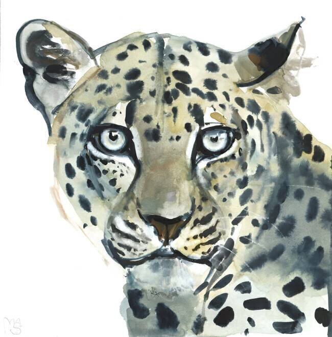 Leopard Mark Adlington