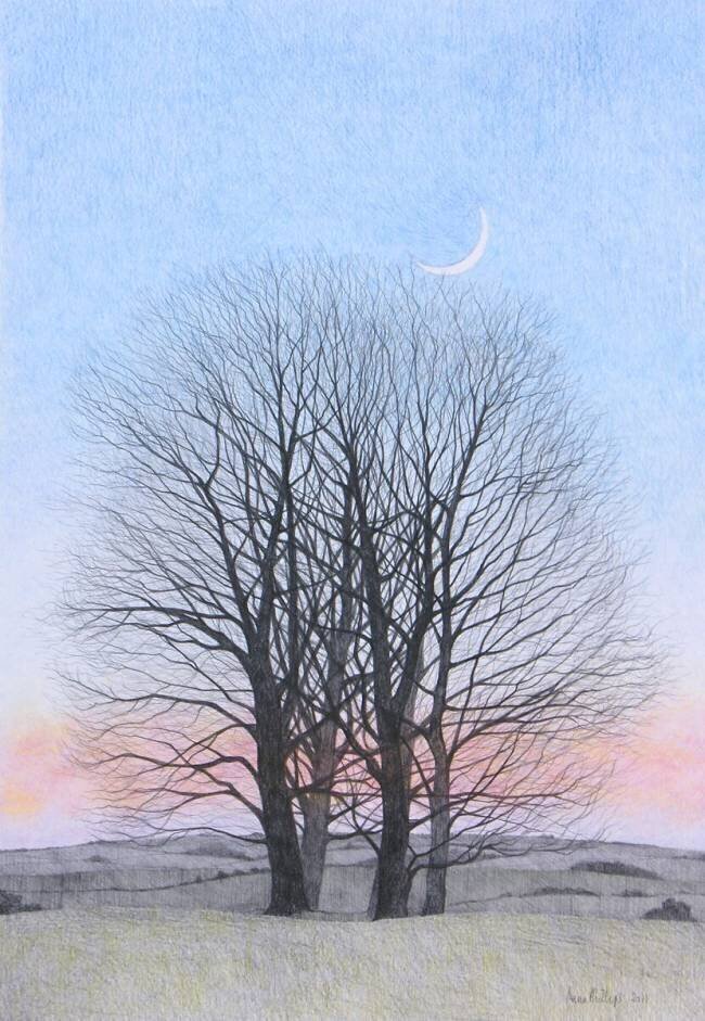 New Moon Ann Brain