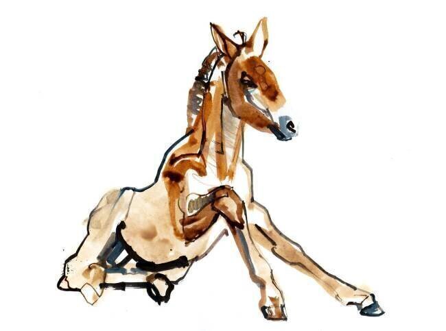 Ochre Foal Mark Adlington