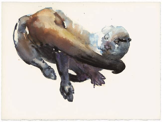 Otter Study I - 'Talisker' Mark Adlington