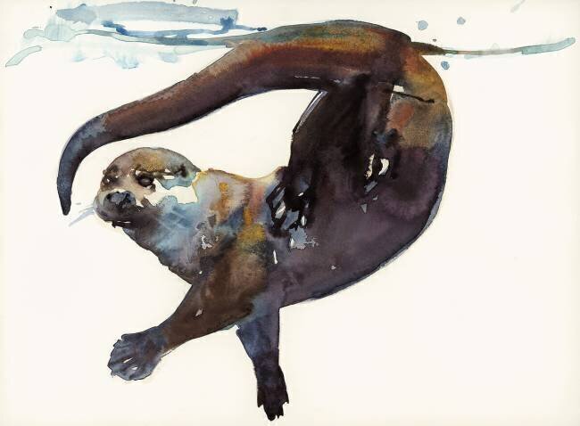 Otter Study II -'Talisker' Mark Adlington