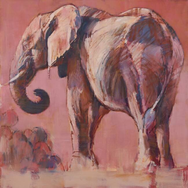Pink Mark Adlington