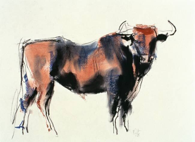 Red Bull Mark Adlington