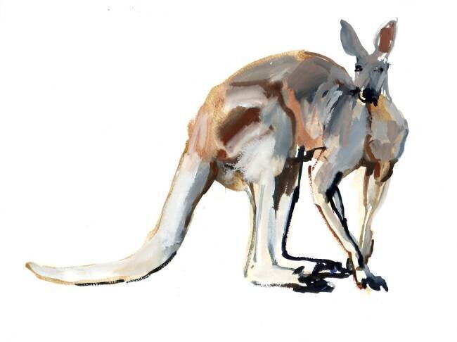 Roo Mark Adlington
