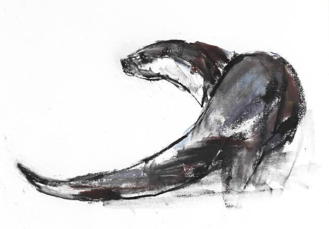Rudder Mark Adlington