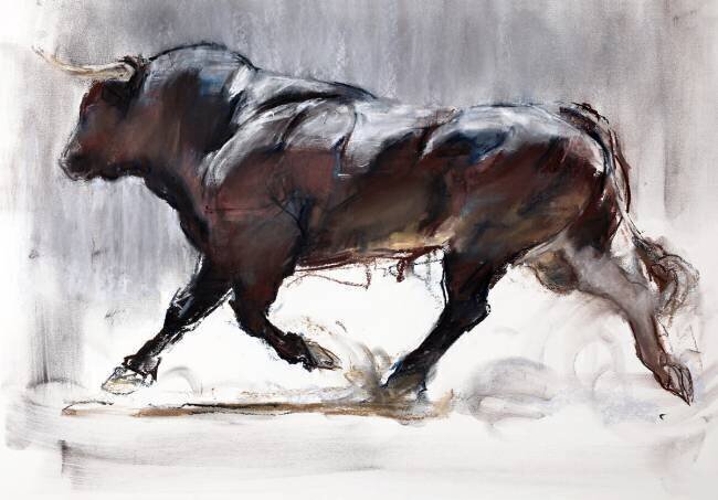 Running Bull Mark Adlington