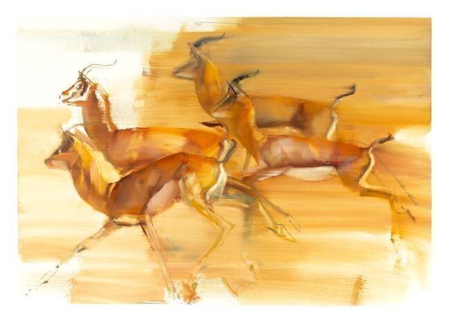 Running Gazelles Mark Adlington