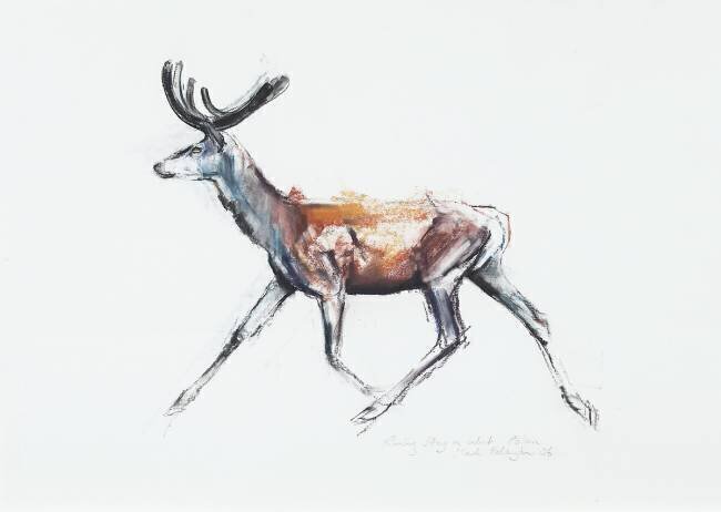Running Stag in velvet Mark Adlington