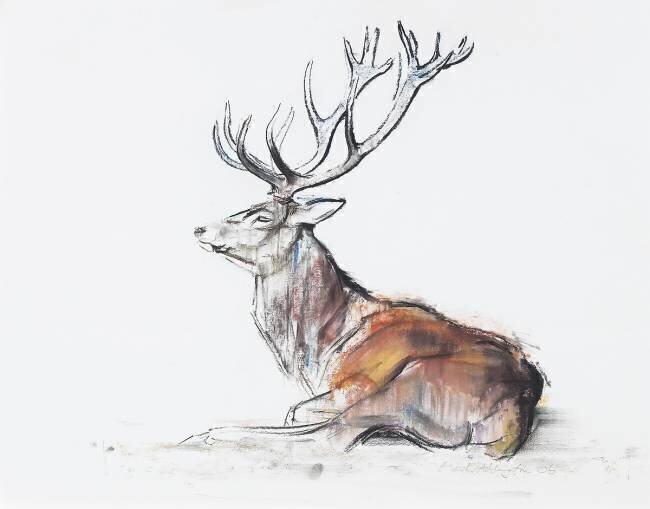 Seated Stag Mark Adlington