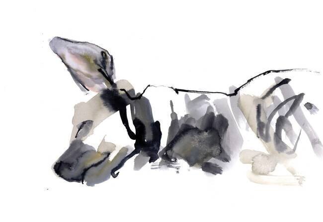 Sleeping Hyaena Mark Adlington