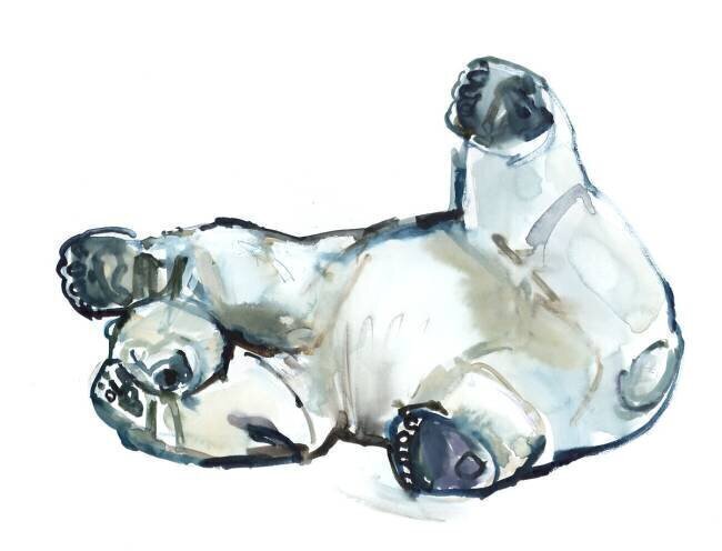 Snow Rub Mark Adlington