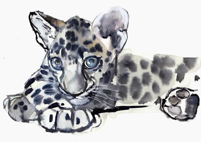 Spotty Mark Adlington
