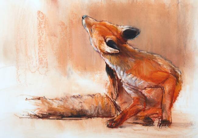 Spring Vixen Mark Adlington