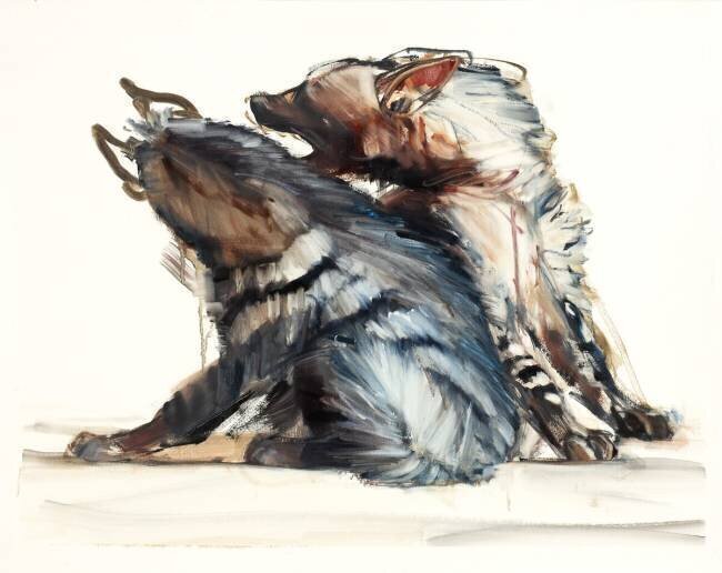 Squabbling Stripes Mark Adlington