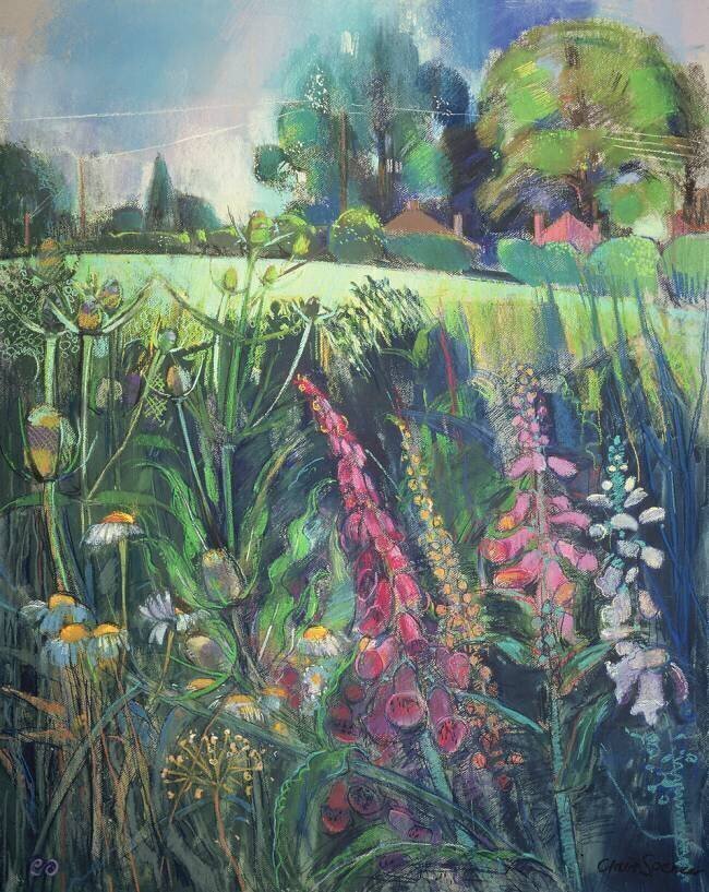 Summer Field Claire Spencer
