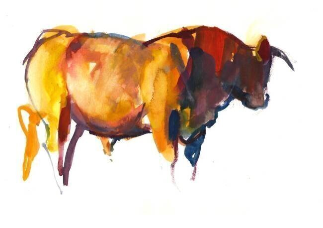 Sunset Bull Mark Adlington