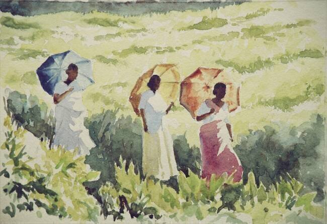 Sunshades, Ramboda Wilson Clive