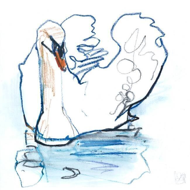 Swan Lake Mark Adlington