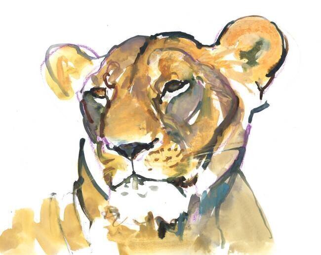 The Lioness Mark Adlington