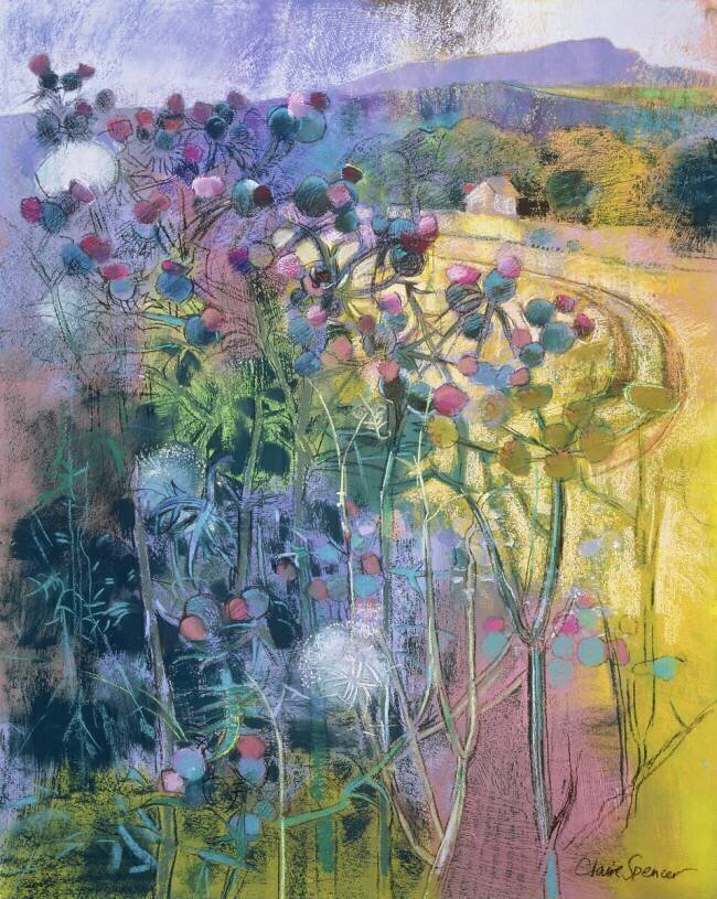 The Wild Beauty of Clee Claire Spencer