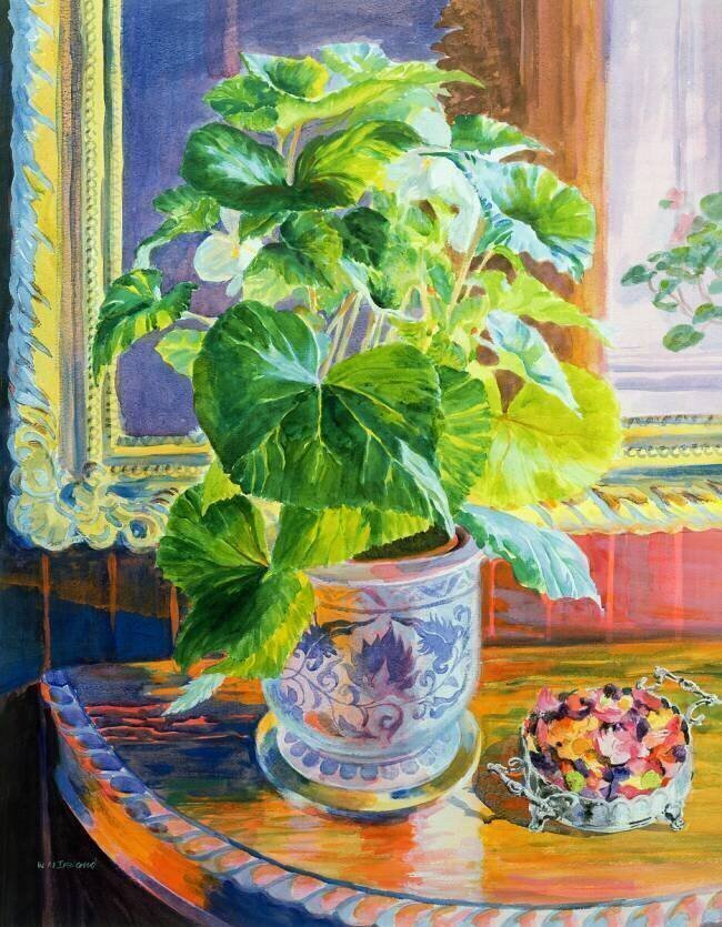 Towards the Light William Ireland