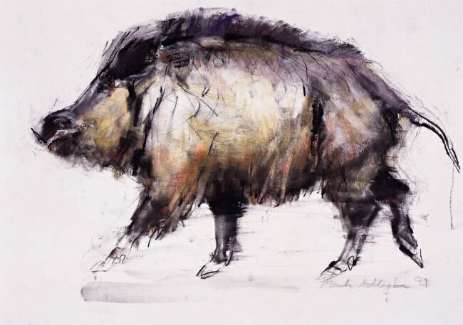 Wild Boar Mark Adlington