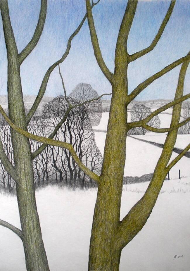 Winters Day Ann Brain