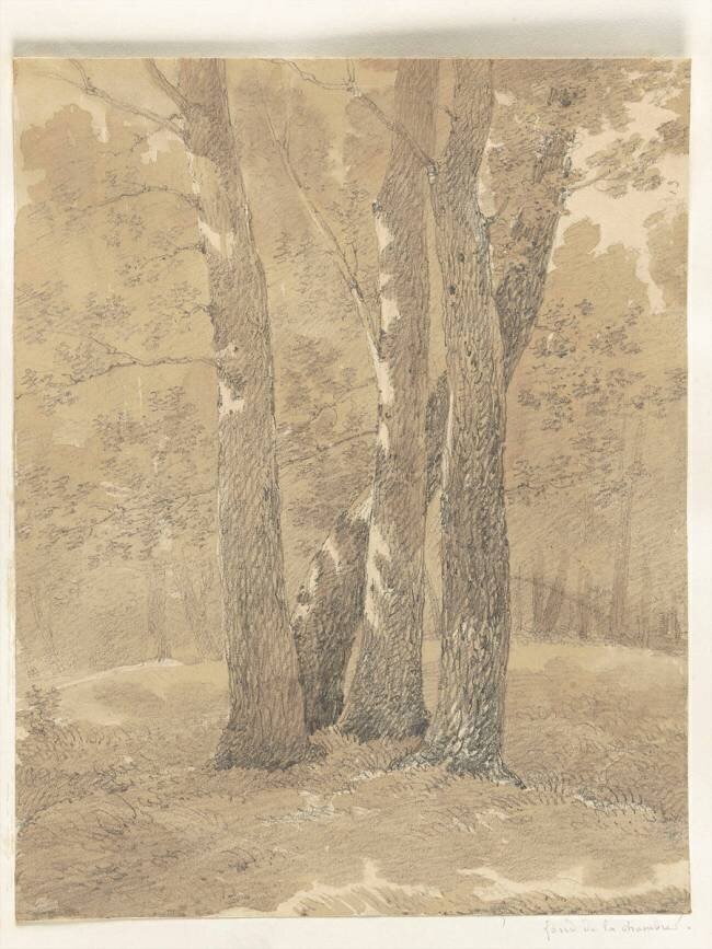 Album de cinquante Dessin du Château de Fontainebleau, de la Forêt, de la ville et des environs Antoine-Laurent Castellan