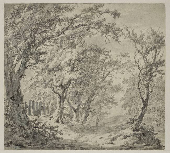 Un bois de chêne Paul-Theodor van Brussel