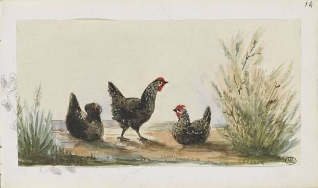 Carnet : trois poules dans la campagne Léon Bonnat