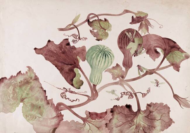 Courge et guêpes Emile Gallé